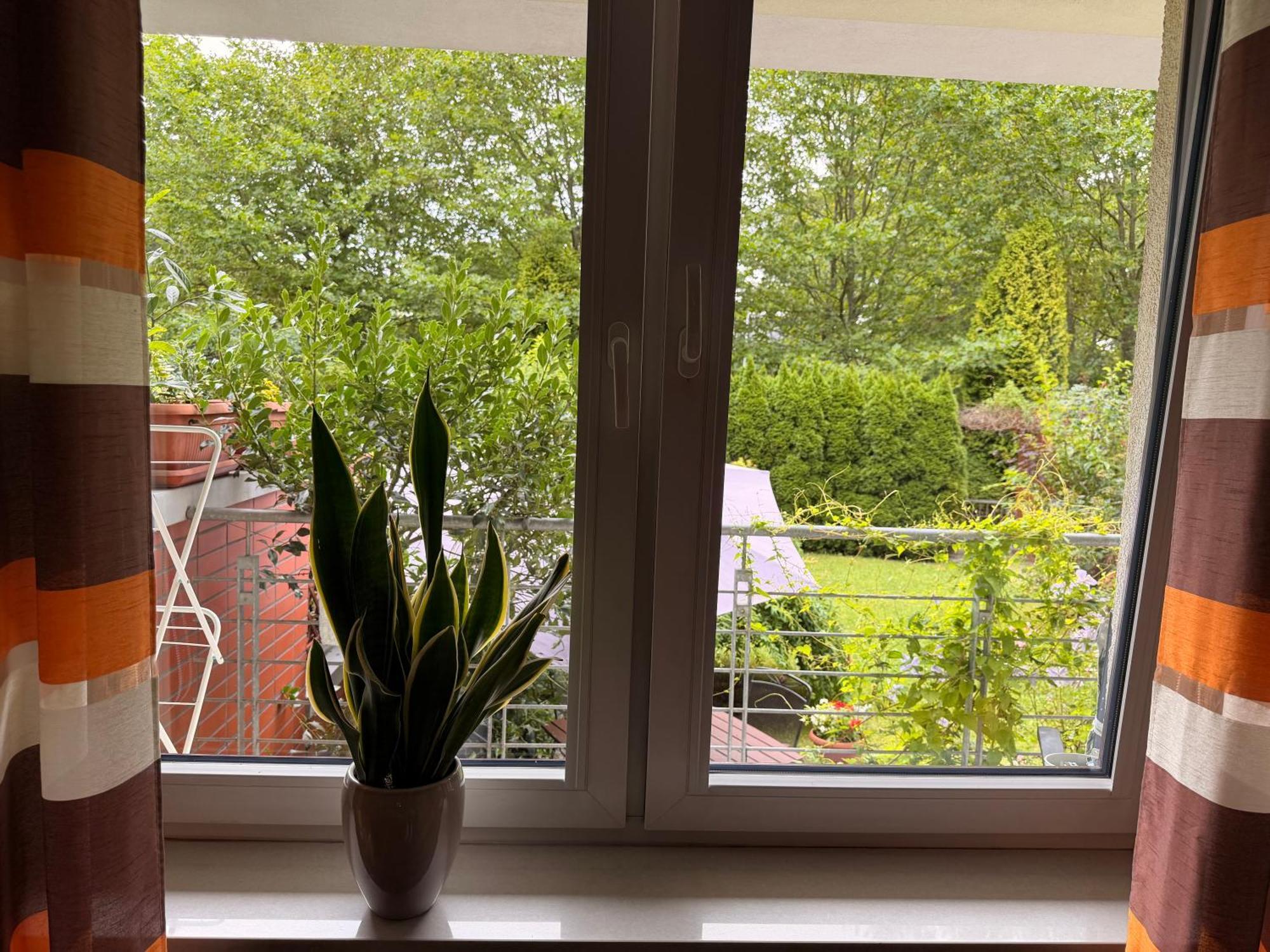 Apartment Garden View